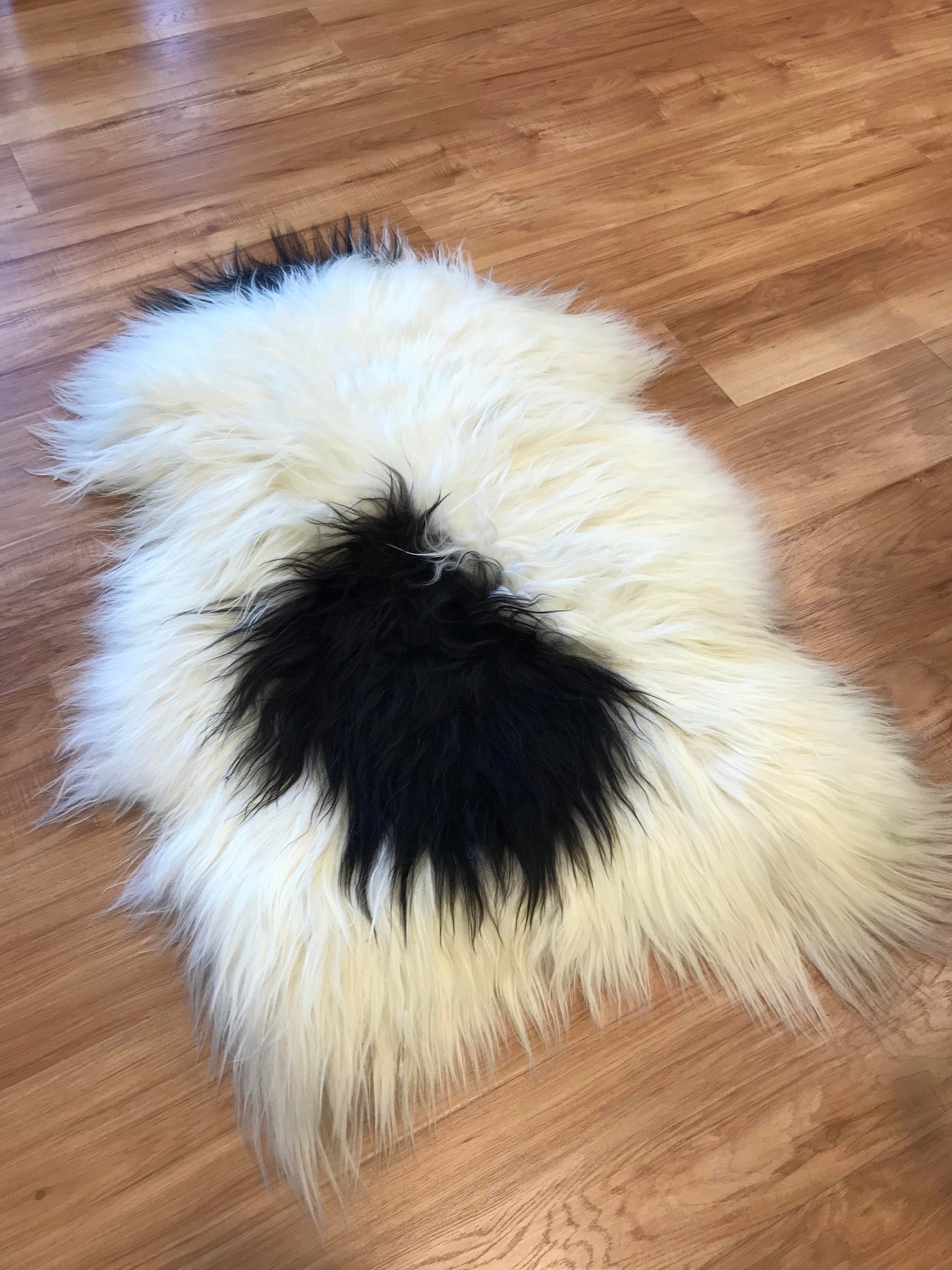 Icelandic Sheepskin